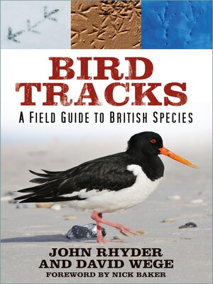 cover image of Bird Tracks